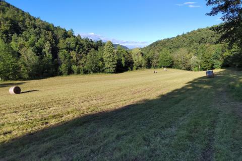 Stavbno zemljišče Severin na Kupi, Vrbovsko, 73.000m2