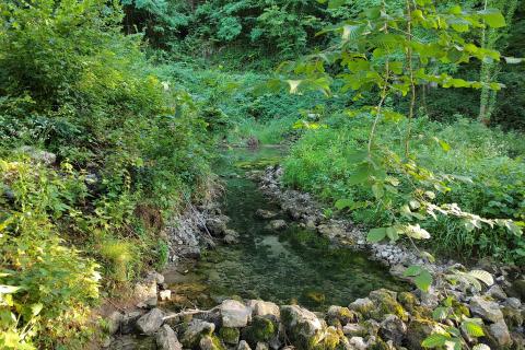 Stavbno zemljišče Severin na Kupi, Vrbovsko, 73.000m2