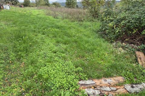 Building plot Tinjan, 800m2