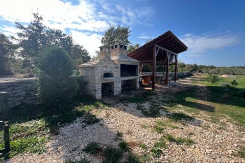 Istra, Vodnjan -okolica, maslinik na zemljištu od 14.000m2