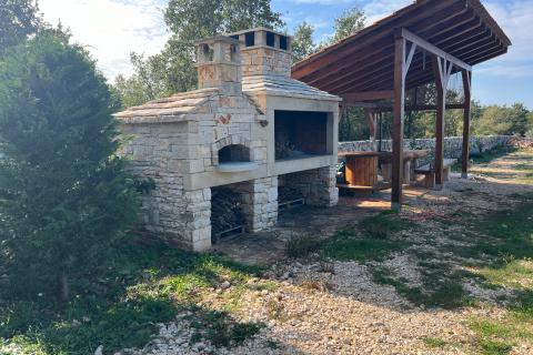 Istra, Vodnjan -okolica, maslinik na zemljištu od 14.000m2