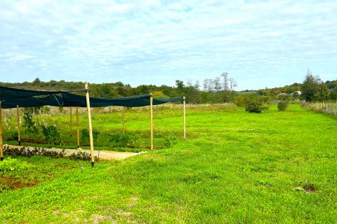 Stavbno zemljišče Materada, Umag, 2.930m2