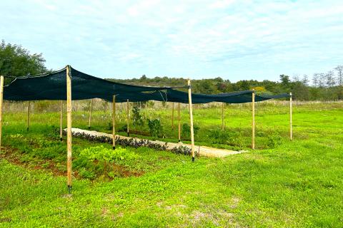 Stavbno zemljišče Materada, Umag, 2.930m2