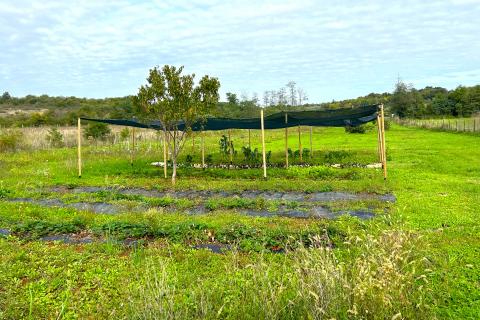 Stavbno zemljišče Materada, Umag, 2.930m2