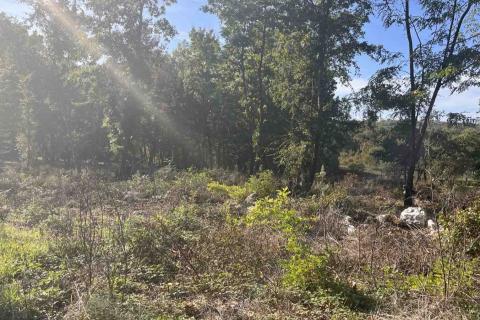 Building plot Karojba, 1.446m2