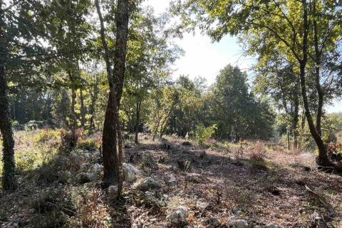 Building plot Karojba, 1.446m2