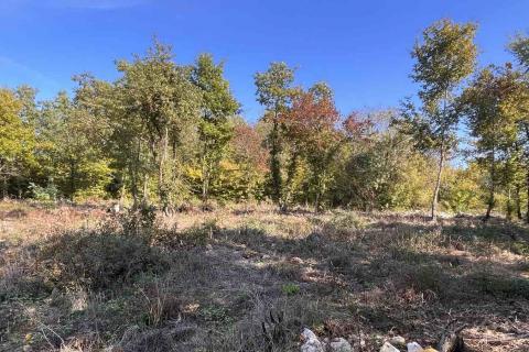 Building plot Karojba, 1.446m2