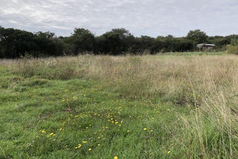 Земельный участок нестроительного назначения Šijana, Pula, 605m2