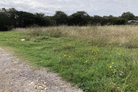 Земельный участок нестроительного назначения Šijana, Pula, 605m2