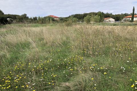 Земельный участок нестроительного назначения Monteserpo - Komunal, Pula, 495m2