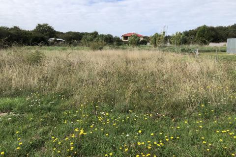 Земельный участок нестроительного назначения Monteserpo - Komunal, Pula, 495m2