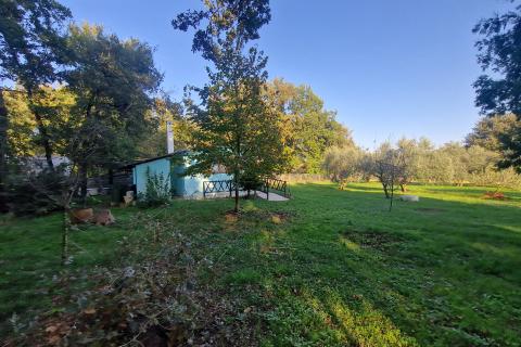 Istra, Loborika, idilična samostojeća kućica