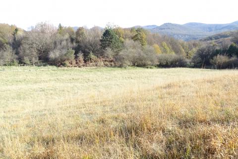 Земельный участок нестроительного назначения Klana, 14.790m2