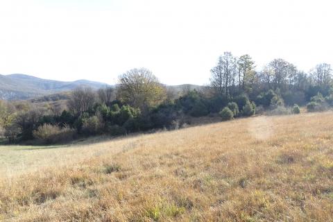 Земельный участок нестроительного назначения Klana, 14.790m2