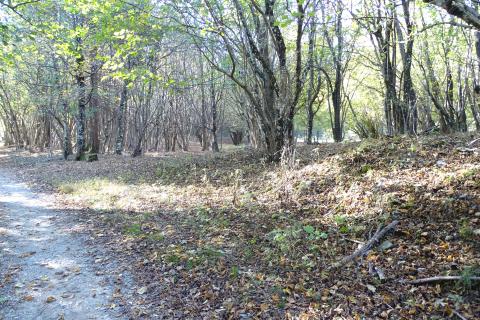 Klana - negrađevinsko zemljište