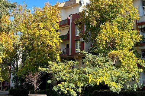 Stanovanje/Apartma Poreč, 64m2