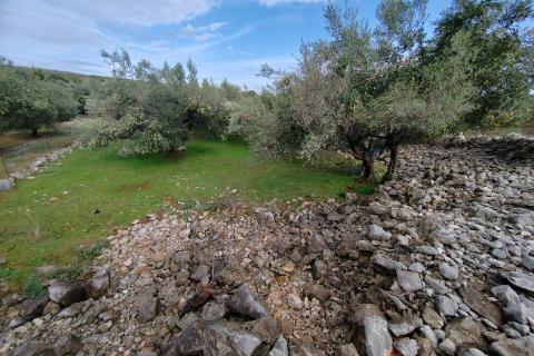 Stavbno zemljišče Kornić, Krk, 1.130m2