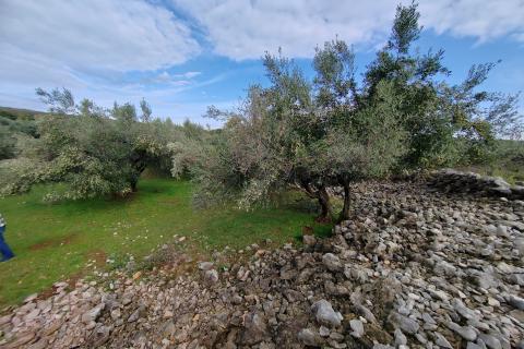 Stavbno zemljišče Kornić, Krk, 1.130m2