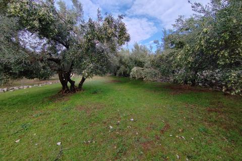 Stavbno zemljišče Kornić, Krk, 1.130m2