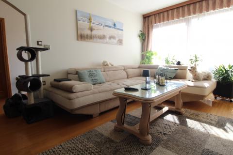 Casa Poreč okolica, Poreč, 430m2