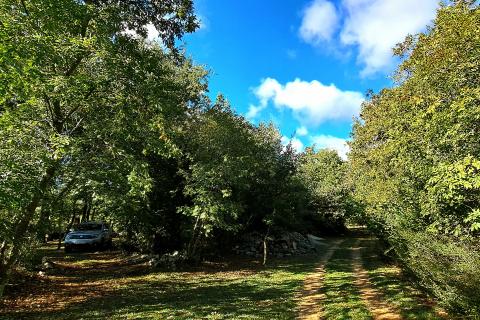 Istra, Butkovići - vikendica na poljoprivrednom zemljištu od 7600 m2