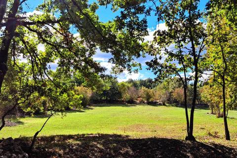 Istra, Butkovići - vikendica na poljoprivrednom zemljištu od 7600 m2