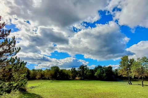 Istra, Butkovići - vikendica na poljoprivrednom zemljištu od 7600 m2