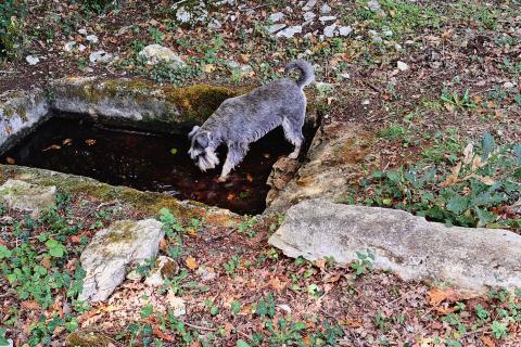 Istra, Butkovići - vikendica na poljoprivrednom zemljištu od 7600 m2