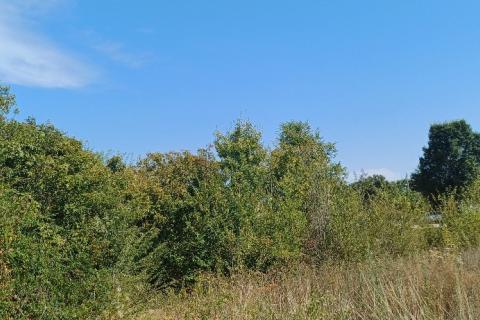 Pula,okolica, građevinsko zemljište