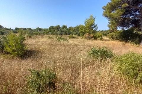 Istra, Peroj, negrađevinska parcela u blizini mora