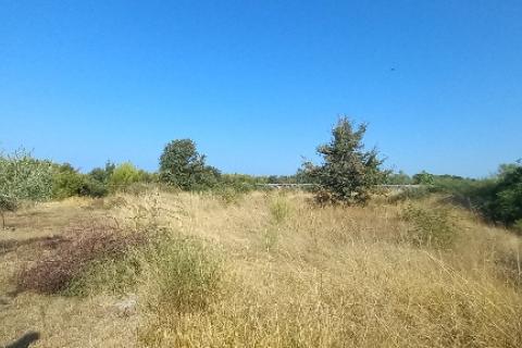 Istra, Peroj, negrađevinska parcela u blizini mora