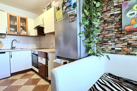 Istra, Buje okolica, prostran obiteljski stan