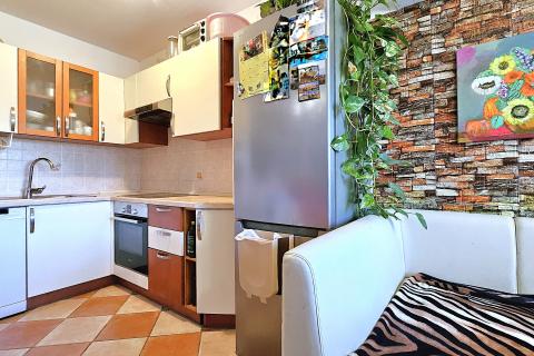 Istra, Buje okolica, prostran obiteljski stan