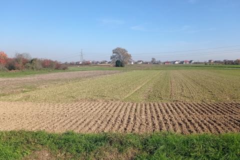 Stavbno zemljišče Brezovica, 2.550m2