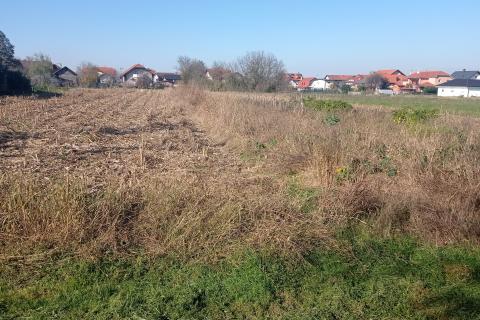 Stavbno zemljišče Brezovica, 2.446m2