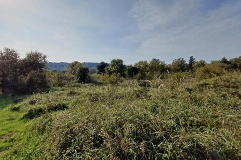 Istra, Ližnjan- građevinsko zemljište u T2 zoni, turističke namjene