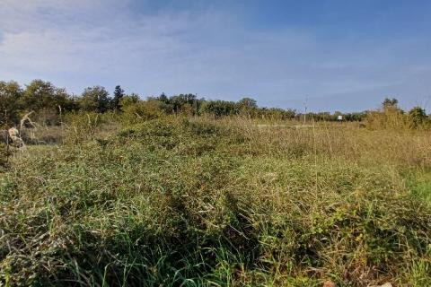 Istra, Ližnjan- građevinsko zemljište u T2 zoni, turističke namjene