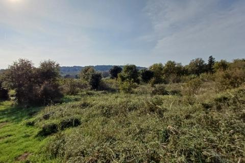 Istra, Ližnjan- građevinsko zemljište u T2 zoni, turističke namjene