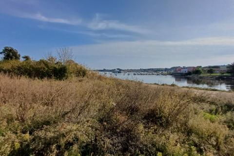 Istra, Ližnjan- građevinsko zemljište u T2 zoni, turističke namjene