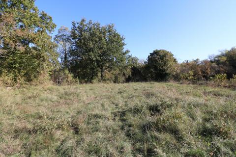 Stavbno zemljišče Višnjan, 2.005m2