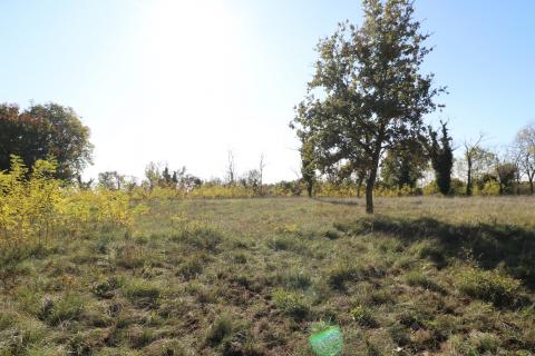 Stavbno zemljišče Višnjan, 2.005m2