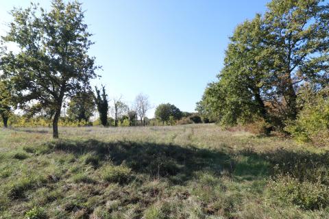 Stavbno zemljišče Višnjan, 2.005m2