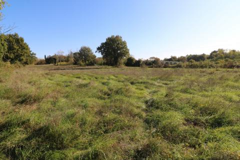 BADERNA, okolica- građevinsko zemljište stambene namjene