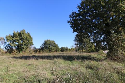 BADERNA, okolica- građevinsko zemljište stambene namjene