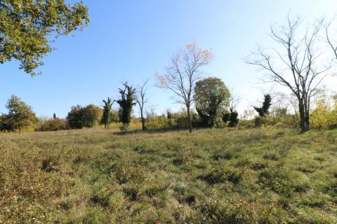 BADERNA, okolica- građevinsko zemljište stambene namjene