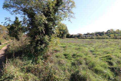 BADERNA, okolica- građevinsko zemljište stambene namjene