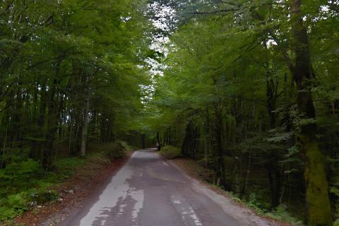 Building plot Ogulin, 21.152m2