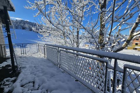 Hiša Ravna Gora, 114m2