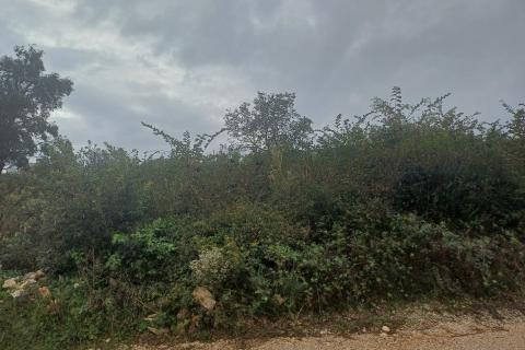 Stavbno zemljišče Ližnjan, 5.224m2