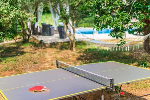 Istra, istarska kamena kuća sa bazenom i maslinikom